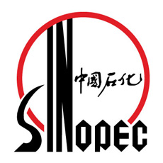 Logo 11